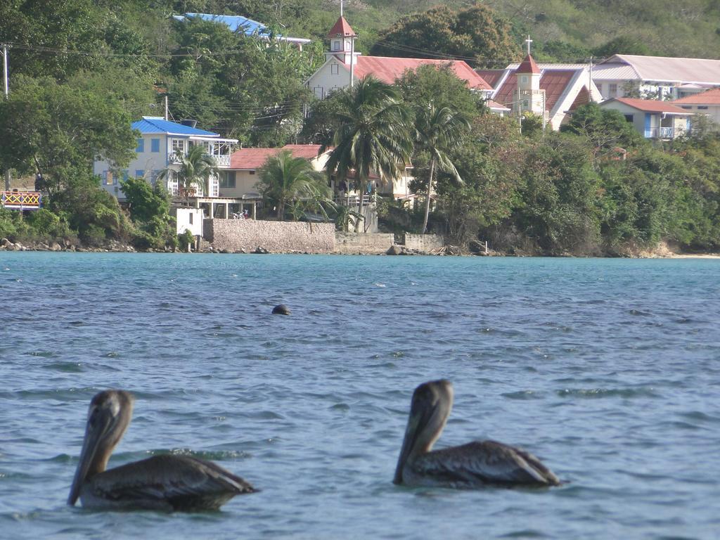 Posada Sunshine Paradise Providencia Island 외부 사진