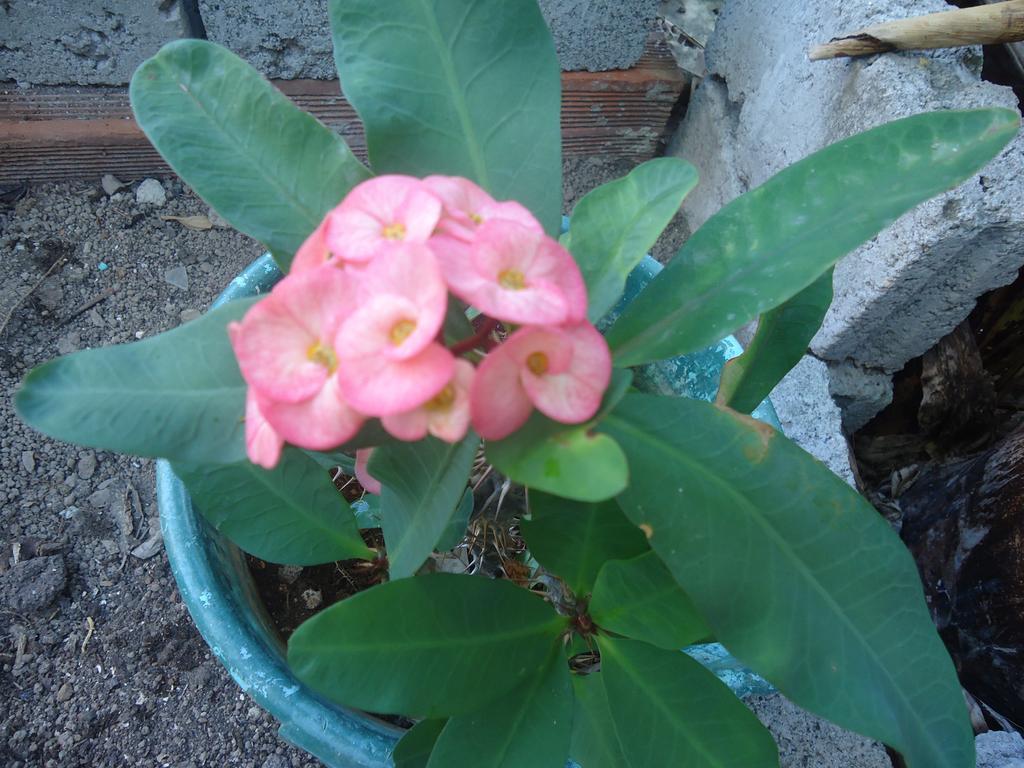 Posada Sunshine Paradise Providencia Island 외부 사진