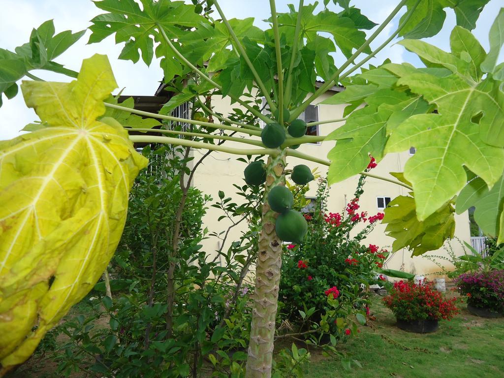 Posada Sunshine Paradise Providencia Island 외부 사진