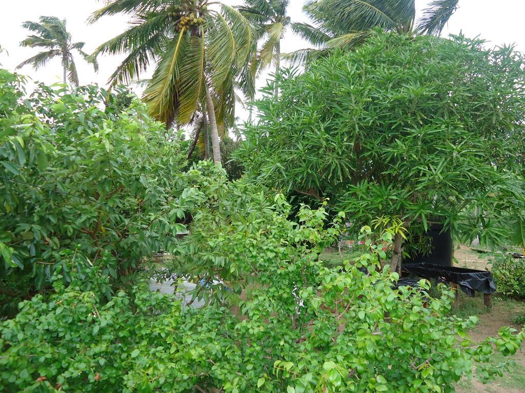 Posada Sunshine Paradise Providencia Island 외부 사진