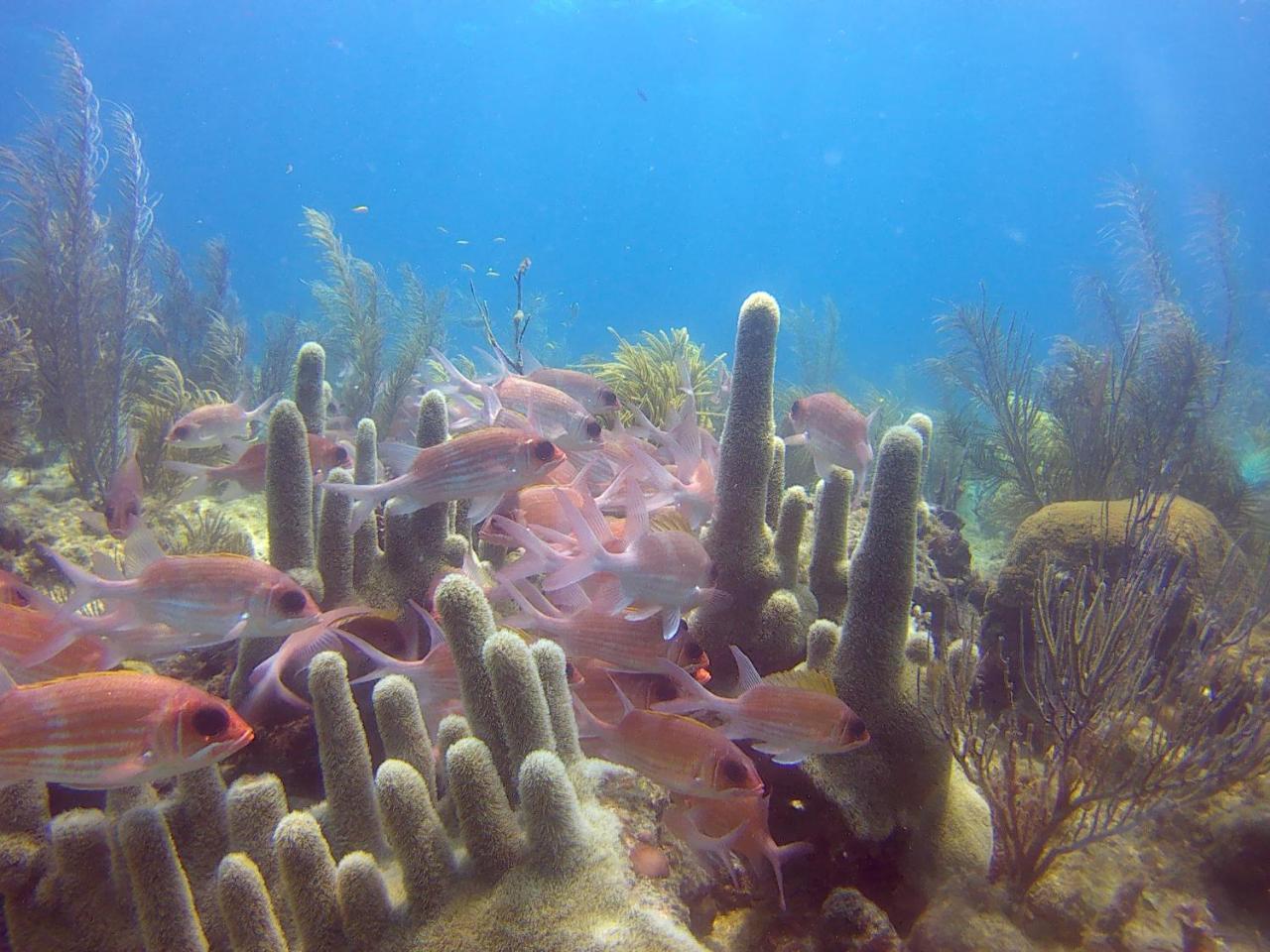 Posada Sunshine Paradise Providencia Island 외부 사진
